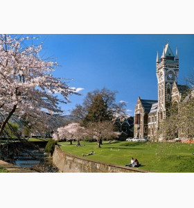 国内学渣，国外收获春天