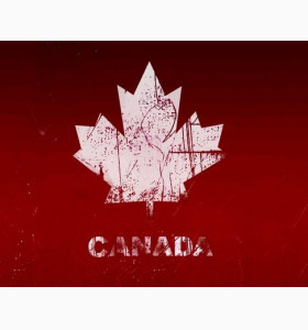 大龄已婚有拒签史也能成功留学