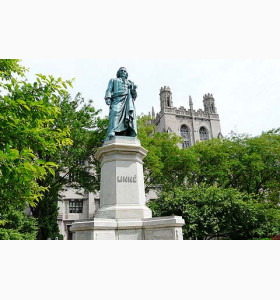 小细节，成就大惊喜，看一本生如何让经历发声