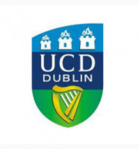 语言成绩不够，依然成功升入一流学校