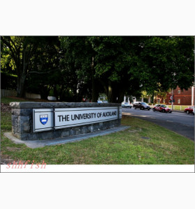 三本女孩，成功获录