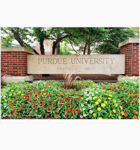 尖子生遭遇滑铁卢，申请策略力挽狂澜