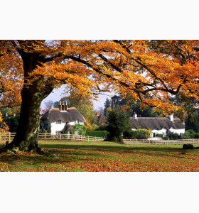 有拒签史学生最终拿到加拿大签证