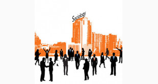 双十一网上签约享50%折扣