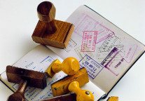 来看看这些实用的专业，别再迷茫