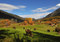 SAT考试中阅读的三大技巧助你高分通过