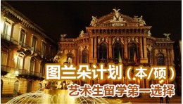 图兰朵计划