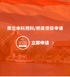 荷兰本科预科/桥梁项目申请