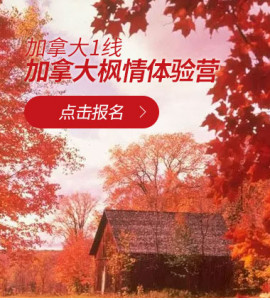 加拿大1线—加拿大枫情体验营