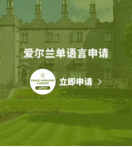 爱尔兰单语言申请