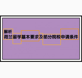 解析荷兰留学基本要求及部分院校申请条件