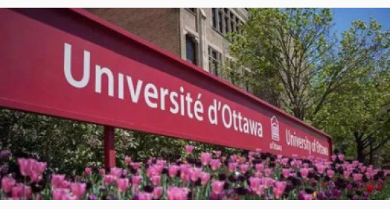 【星超话】Grace贺一鸥：能量女孩 蓬勃向上