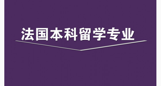 选择法国本科留学专业的注意点