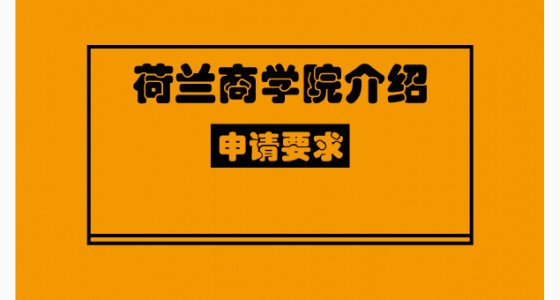 荷兰商学院介绍和申请要求