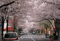 日本留学的五种形式