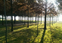 美国留学申请：工科专业基础常识及申请注意事项