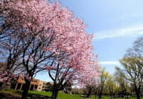 日本留学：如何成功申请奖学金？