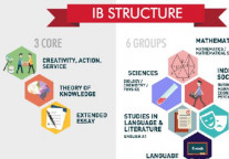 沪甬热门学校IB成绩大PK，IB课程更适合哪类学生？